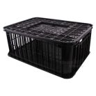 Szállító láda élő csirke számára