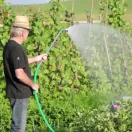 Güde Nagynyomású merülőszivattyú GDT 1200